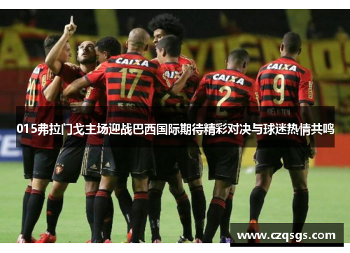 015弗拉门戈主场迎战巴西国际期待精彩对决与球迷热情共鸣