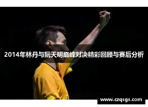 2014年林丹与阮天明巅峰对决精彩回顾与赛后分析